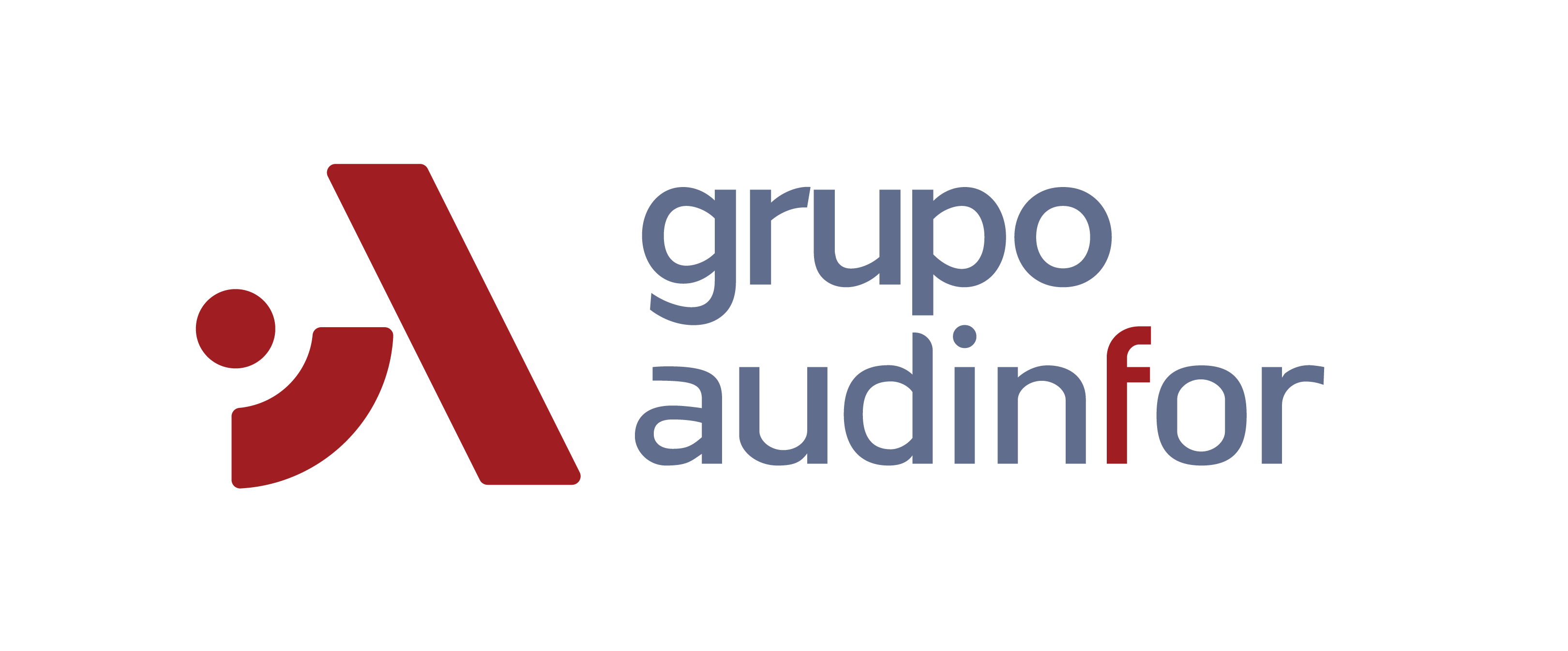 Grupo Audinfor